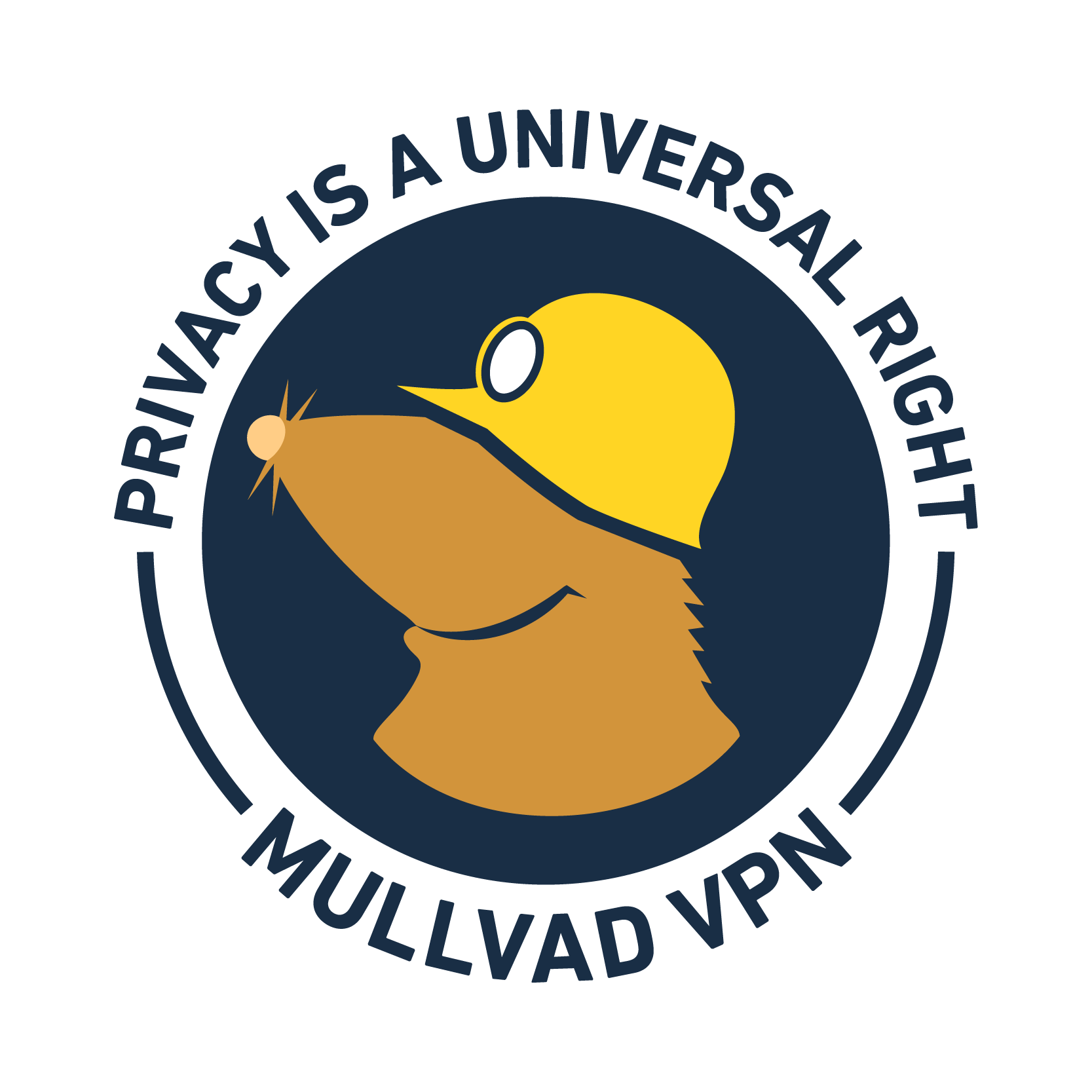 VPN Icon